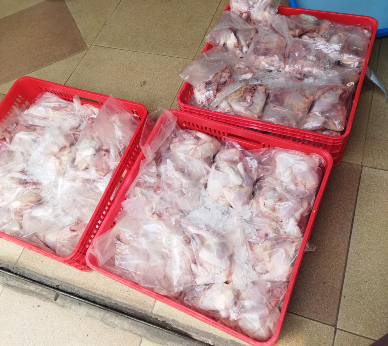 Ayam Fresh & Higienis